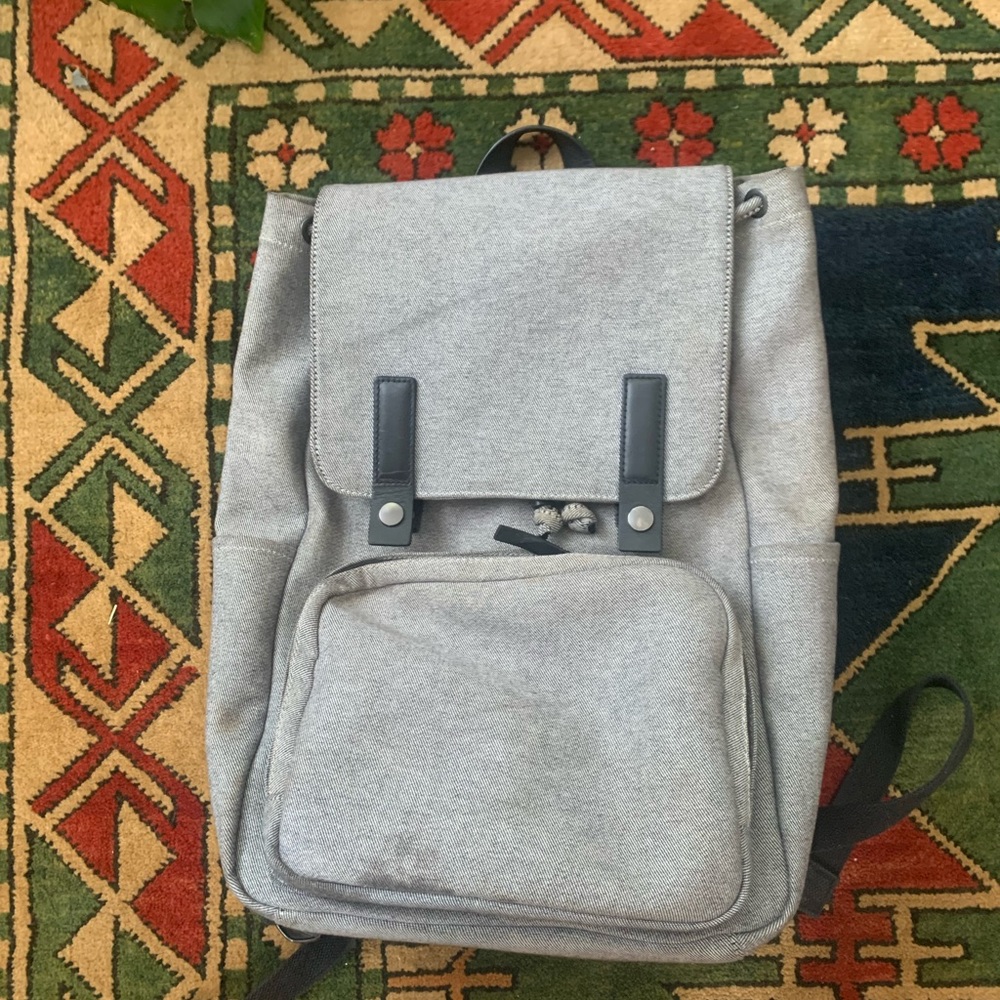 Everlane Backpack